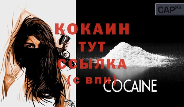 шишки Пересвет