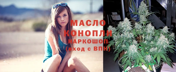 spice Арсеньев